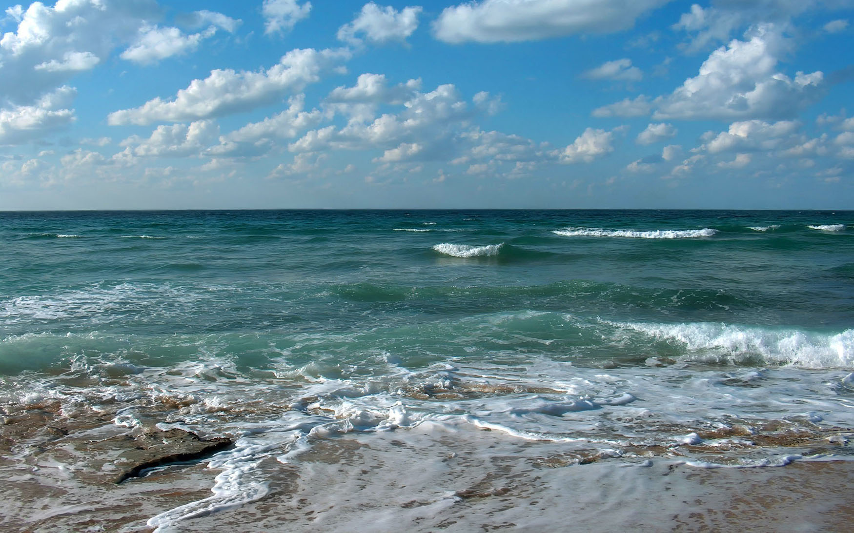 ������: ���� ������ �����������