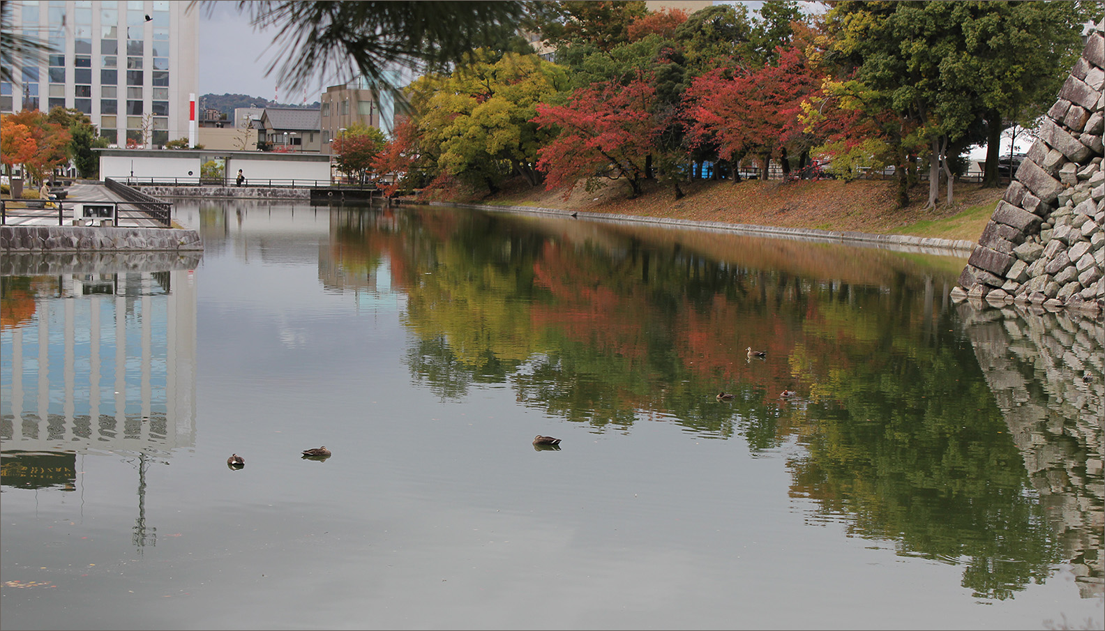 �����: ������� ������