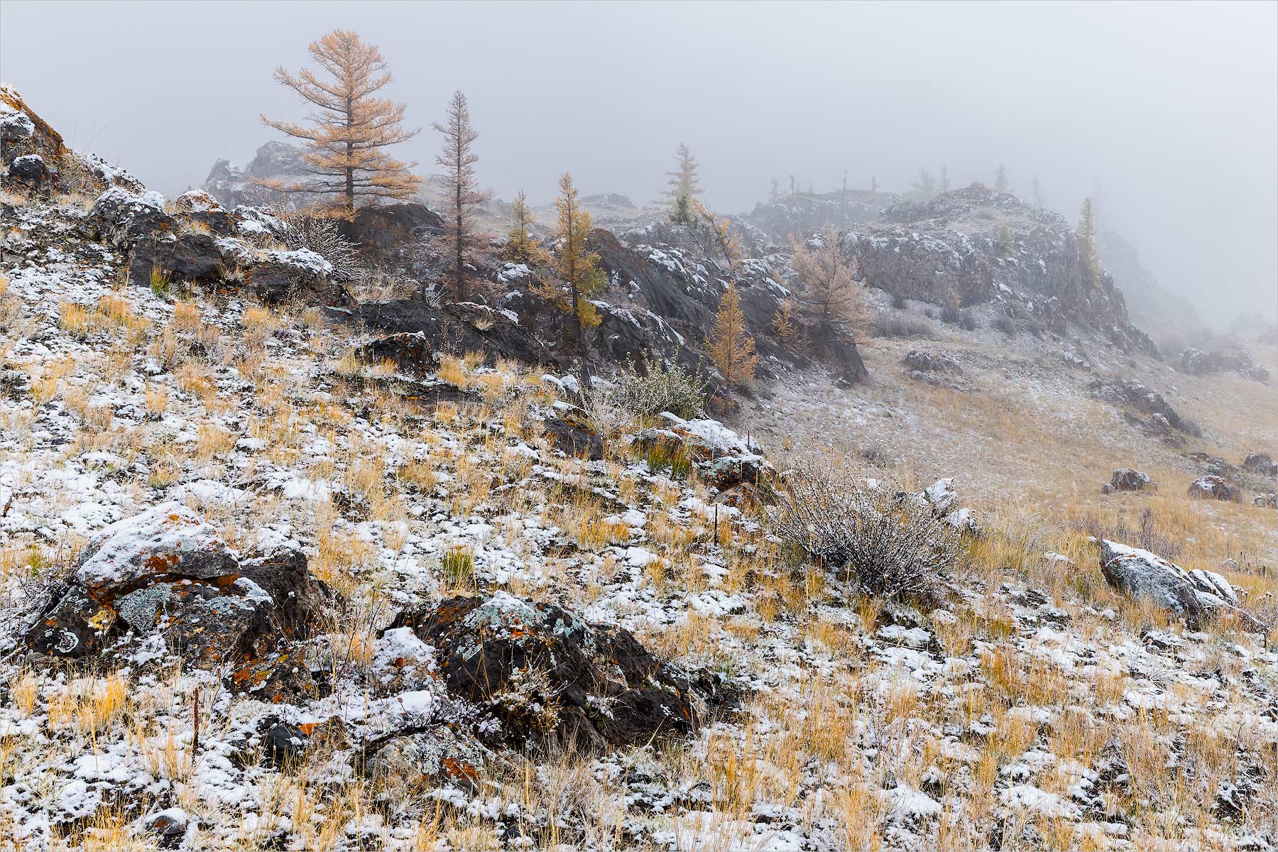 ������: ����, �� ���?