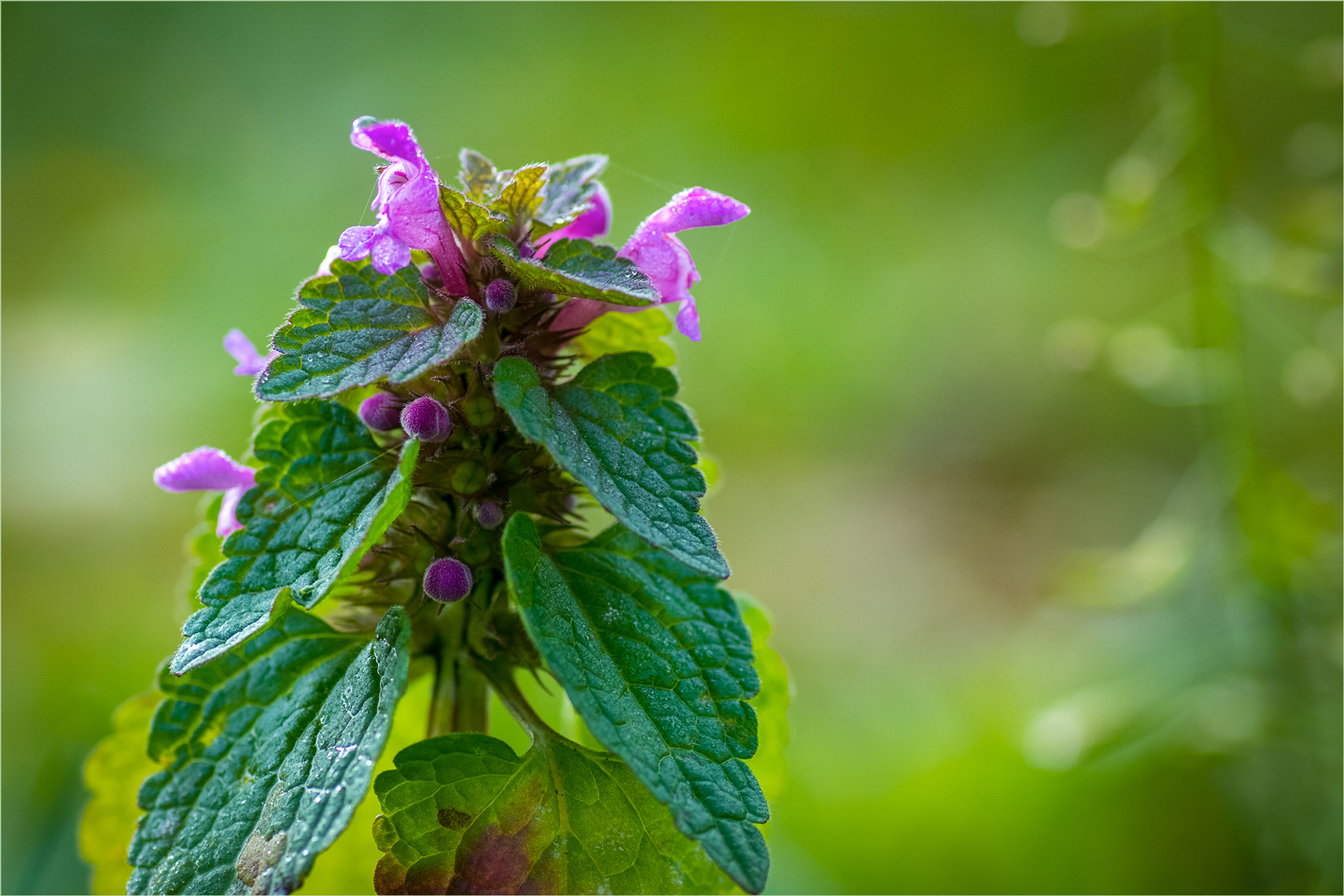 �����: � ���� �������� ������