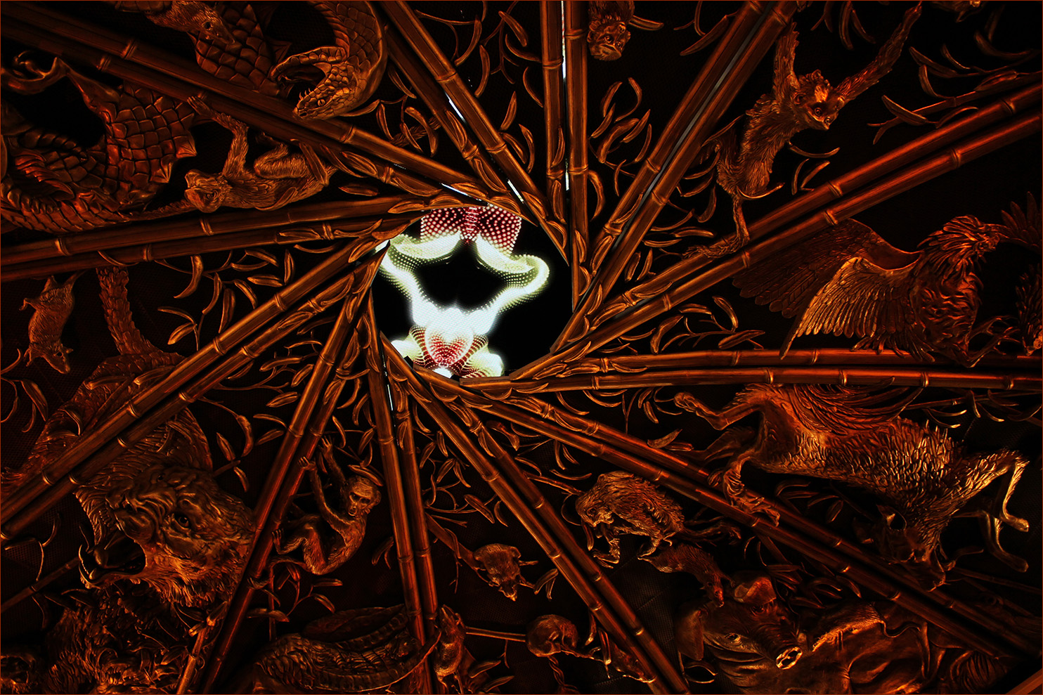 ������: ***