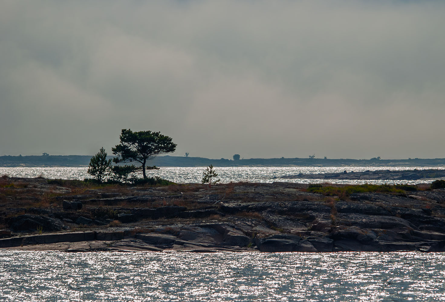 ������: *****