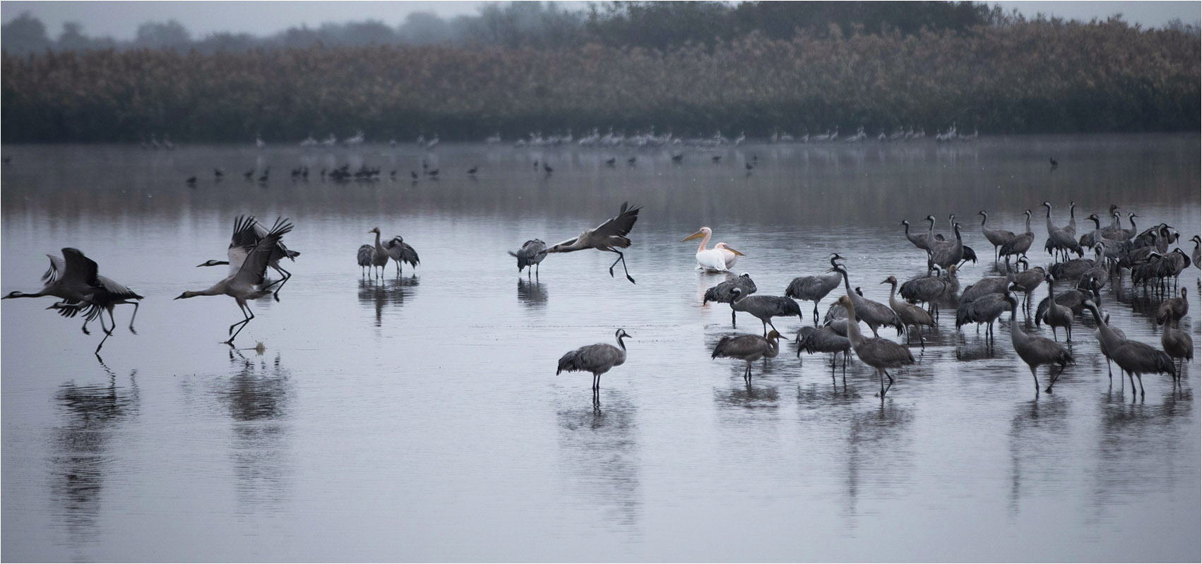 �����: ������ � ����