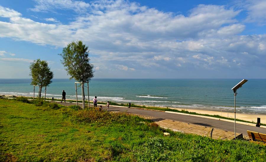 ������:  �������� !