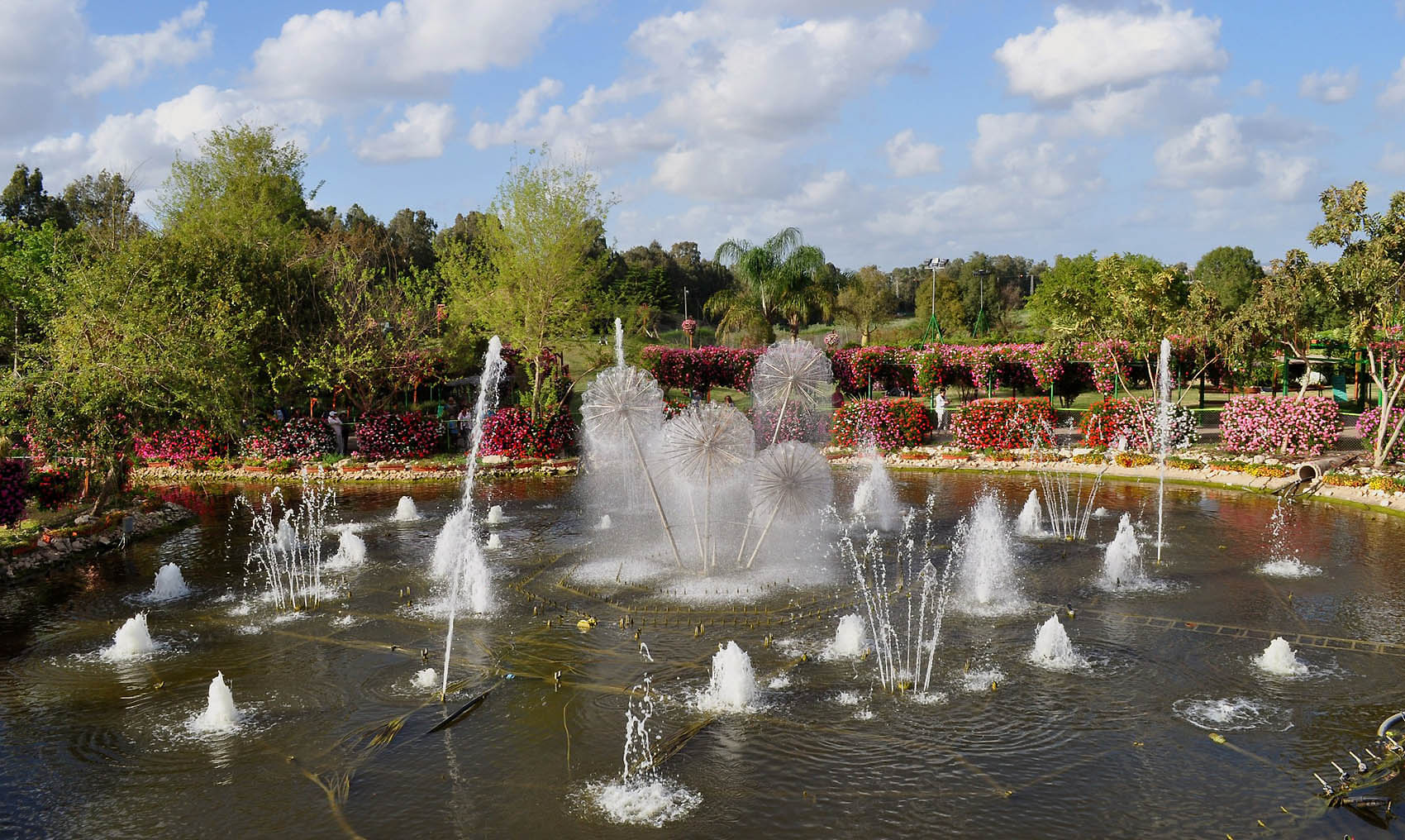 ������: ������� ����� "������"