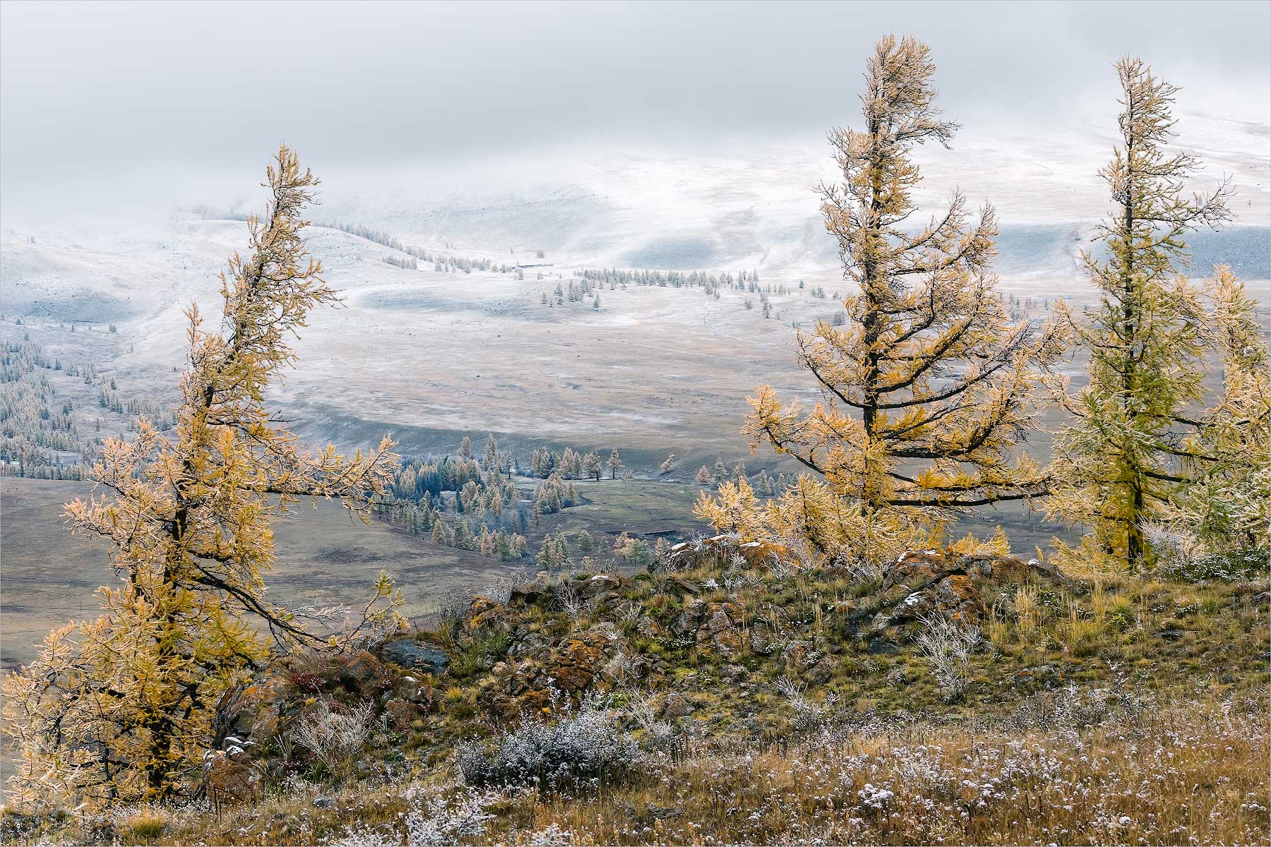 ������: ������� � ��� ��������.