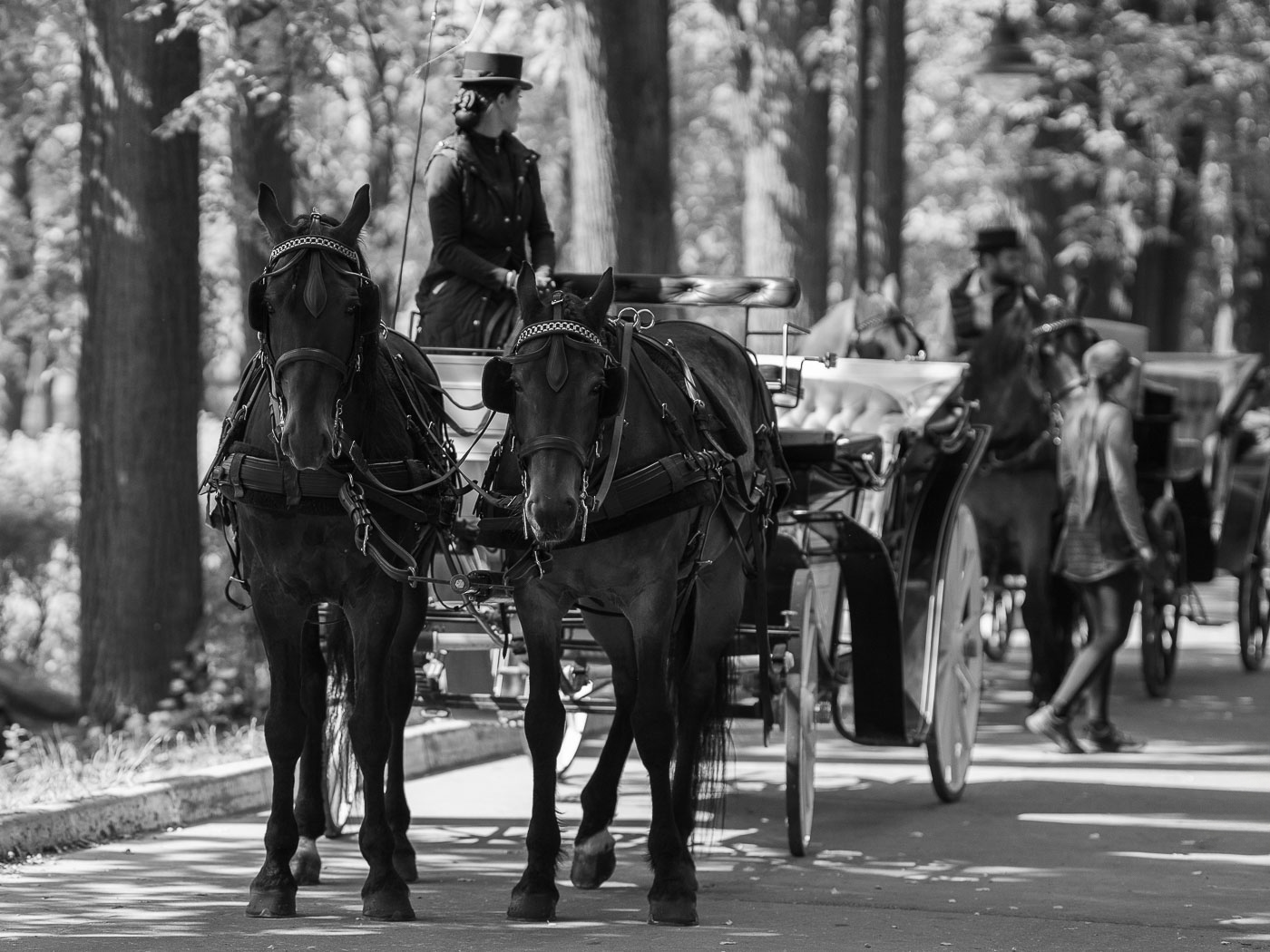 ����: �����...