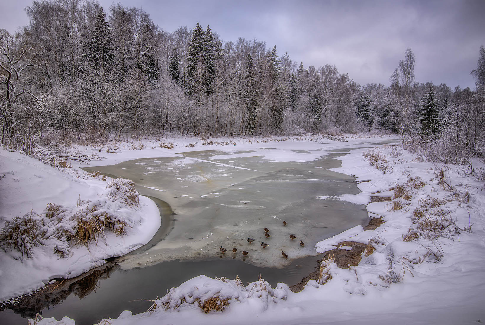 ������: ***