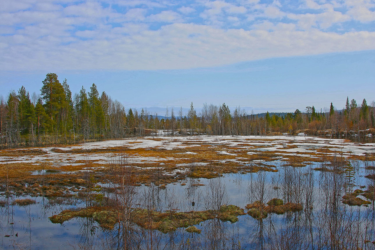 ������: ������