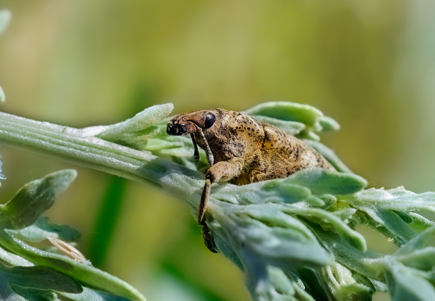 �����/����: ����������