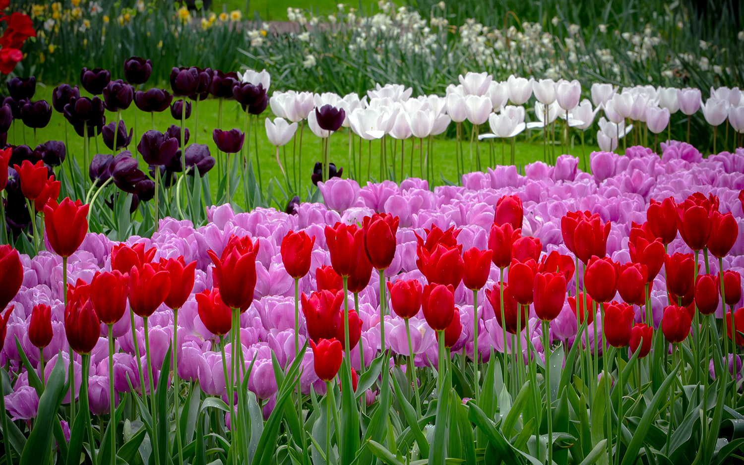 �����: ������ ���������