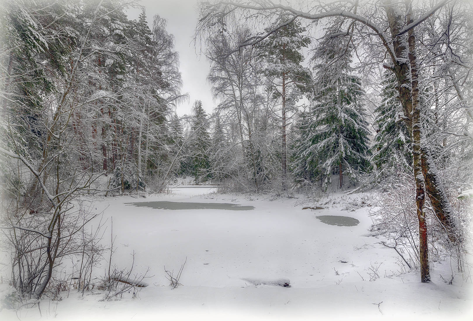 ������: ***