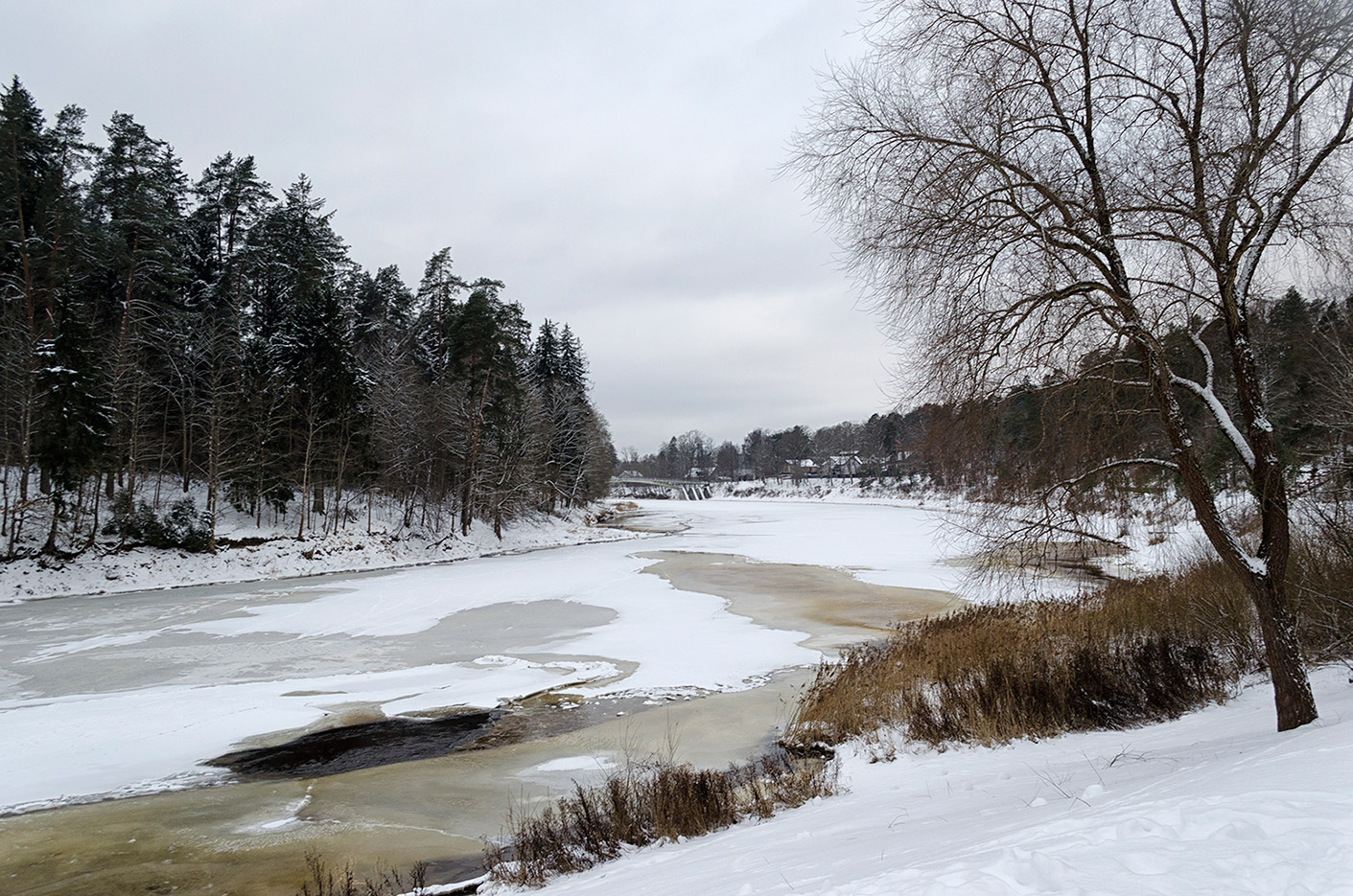 ������: ���� ������