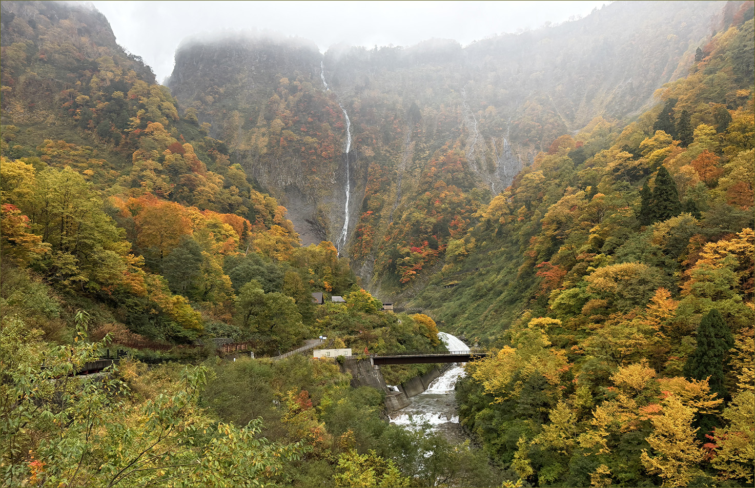 ������: ***