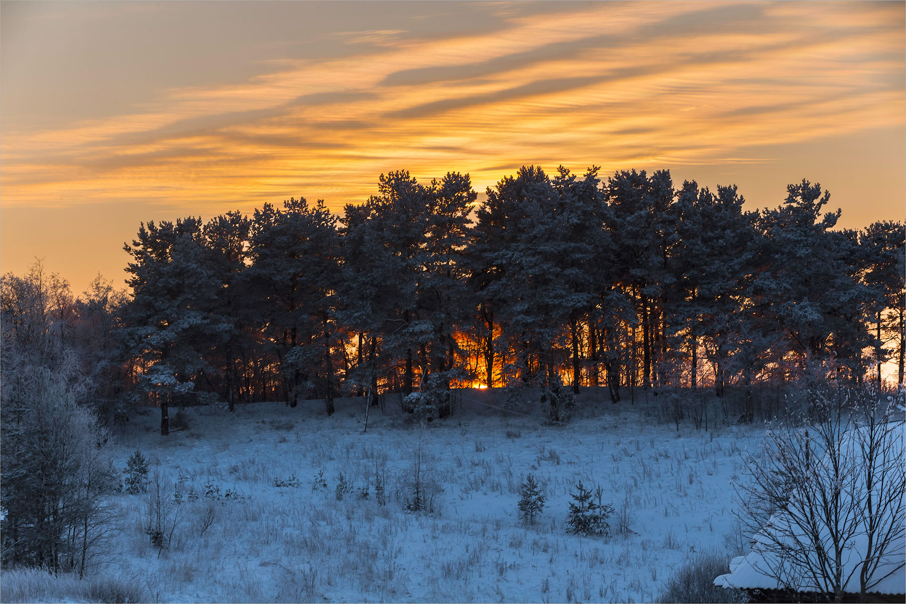 ������: ����������...