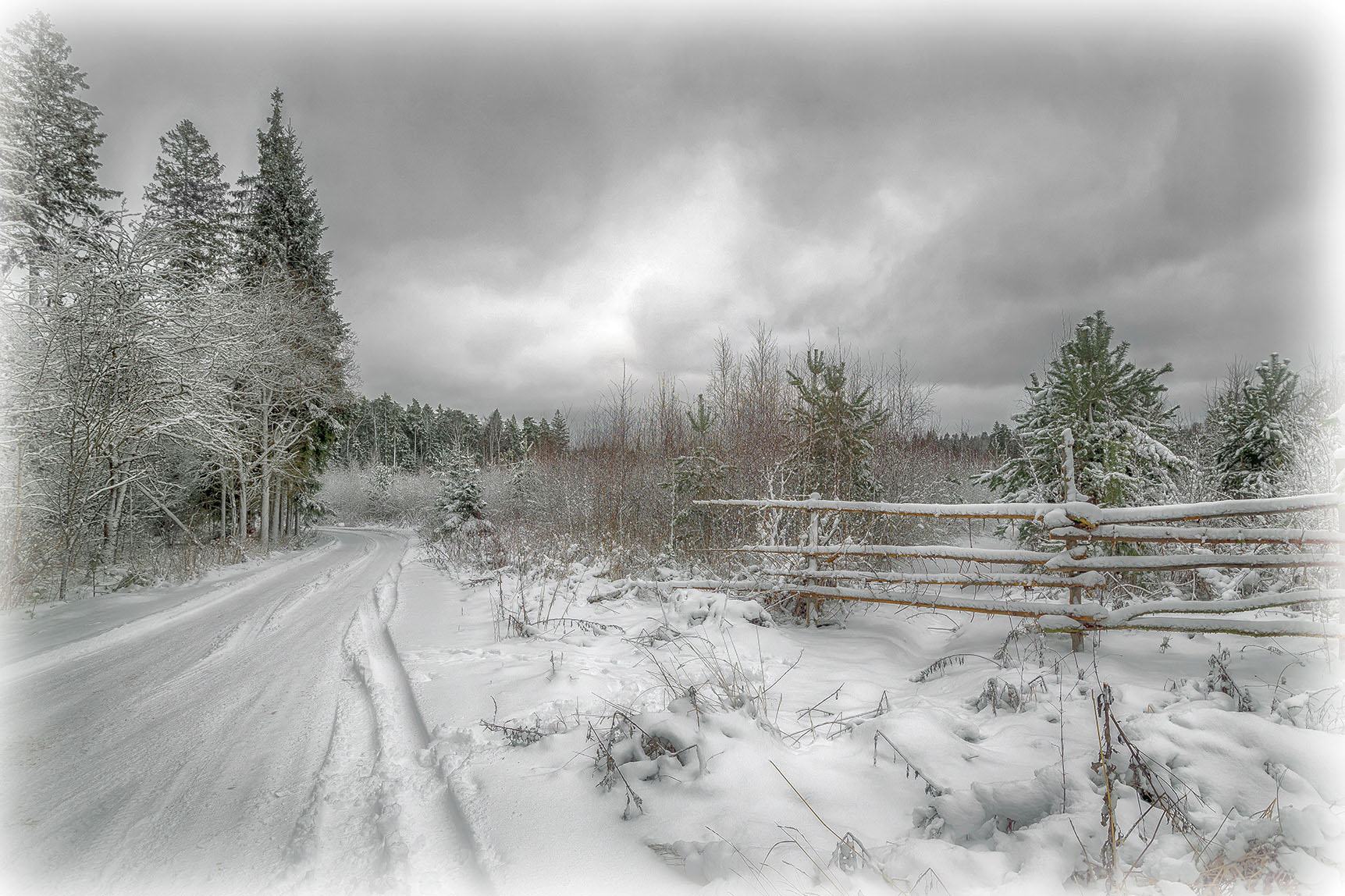 ������: ������ ������