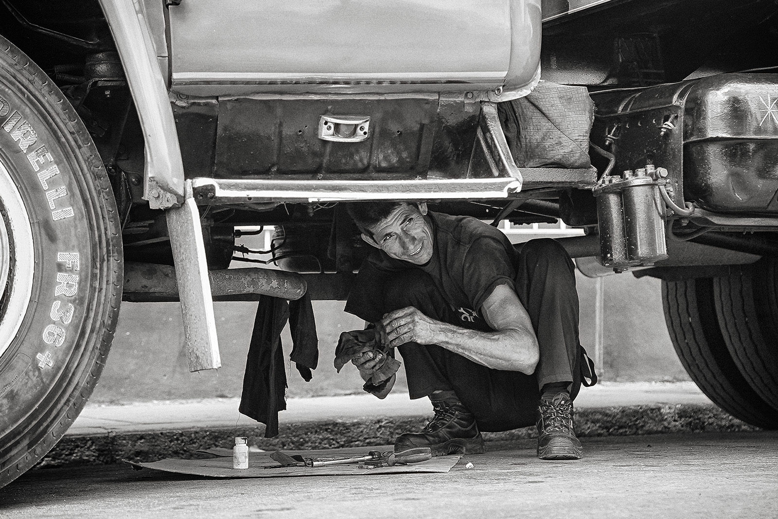 ����: ������