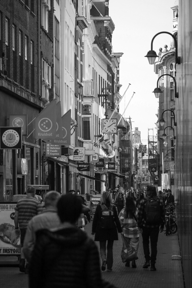 �����: ����� 