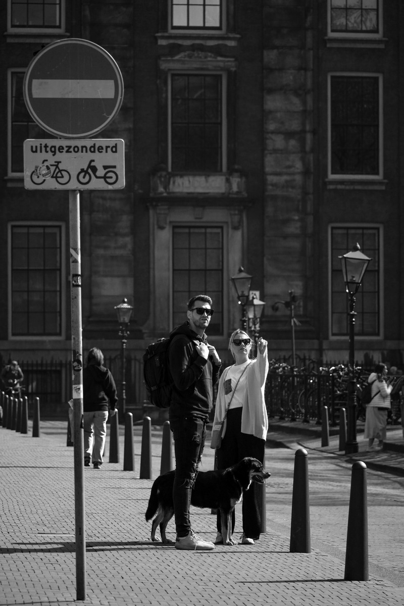 ����: ���������