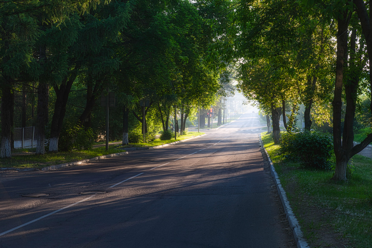 �����: ***