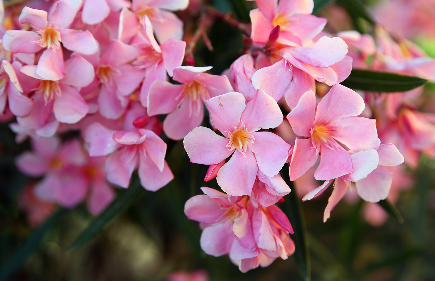 �����: �� ��������� � �����