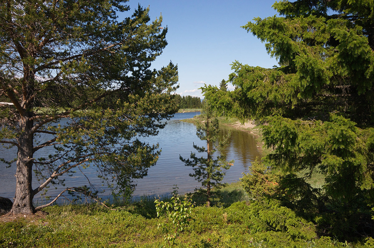 ������: � �����