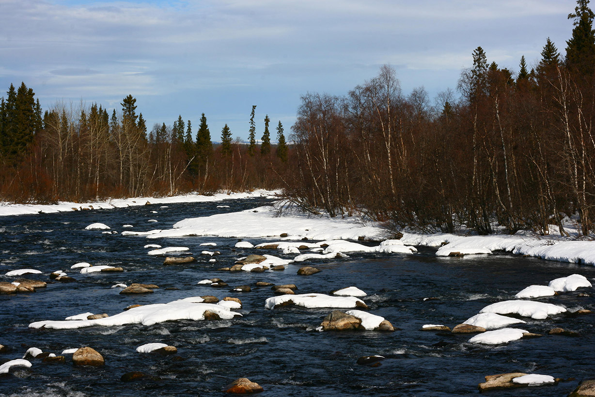 ������: Ҹ���� ����