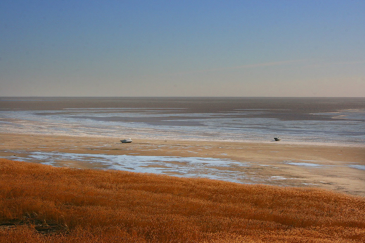 ������: ��������