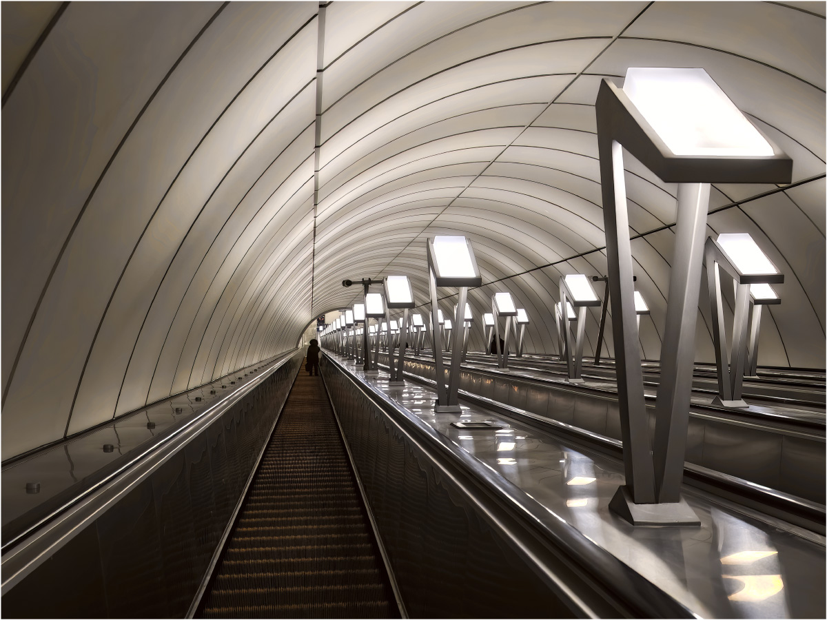 ������: ���������