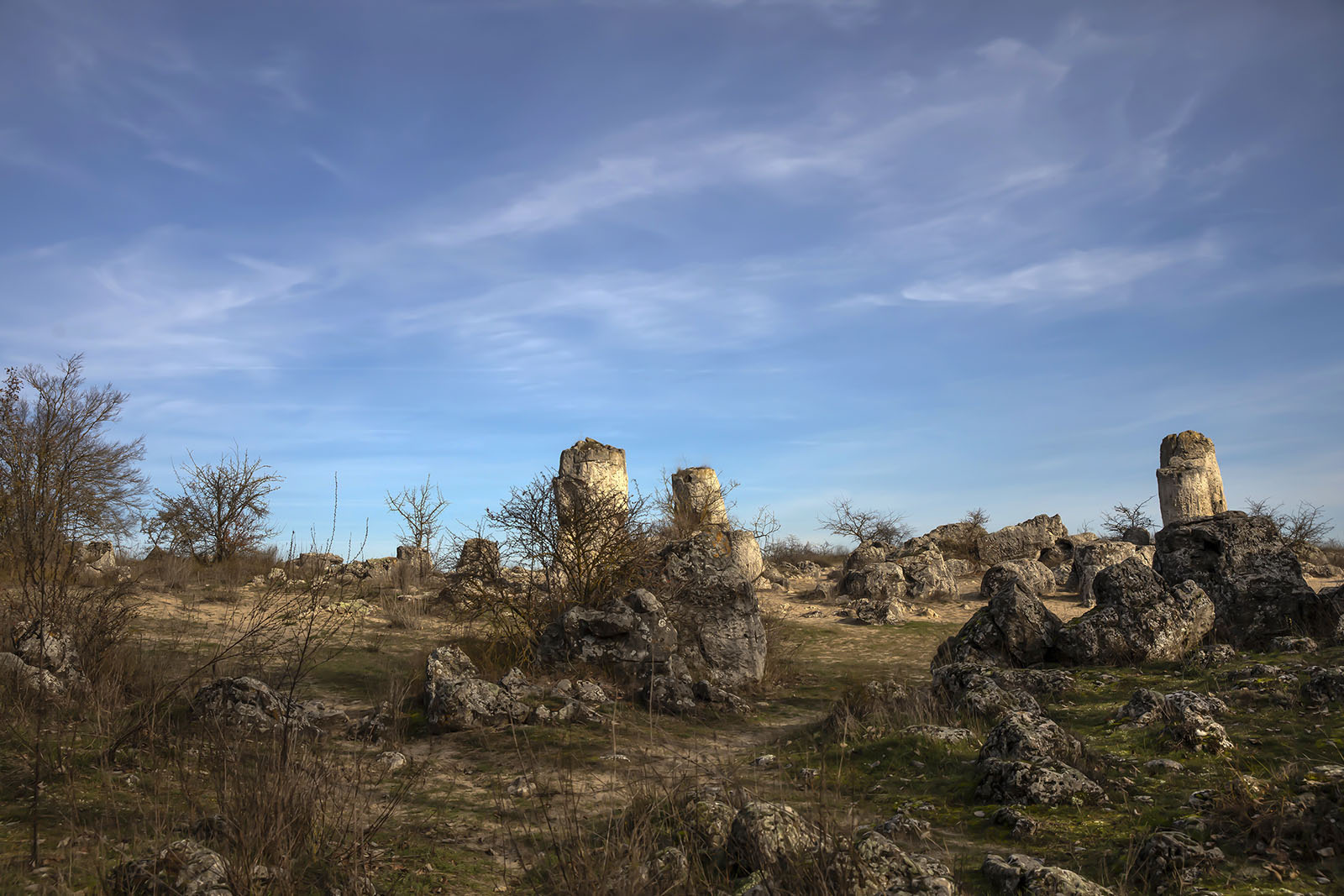 ������: ������ �����