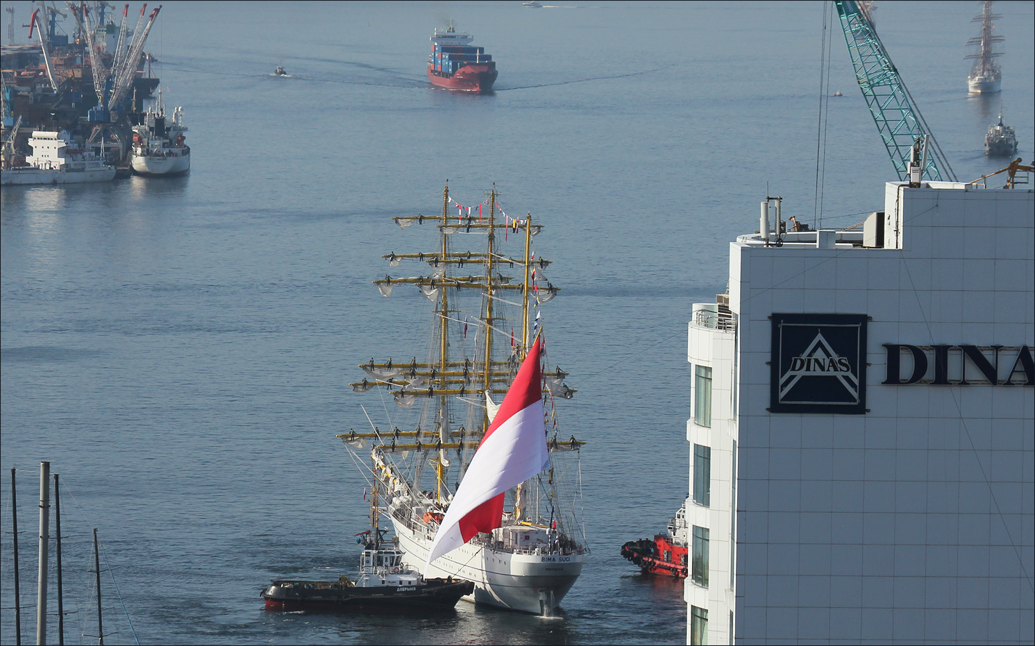 ������: ***