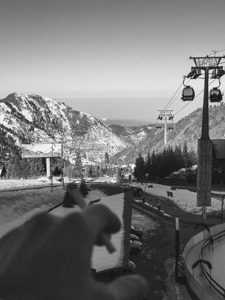 ������: ���� ������