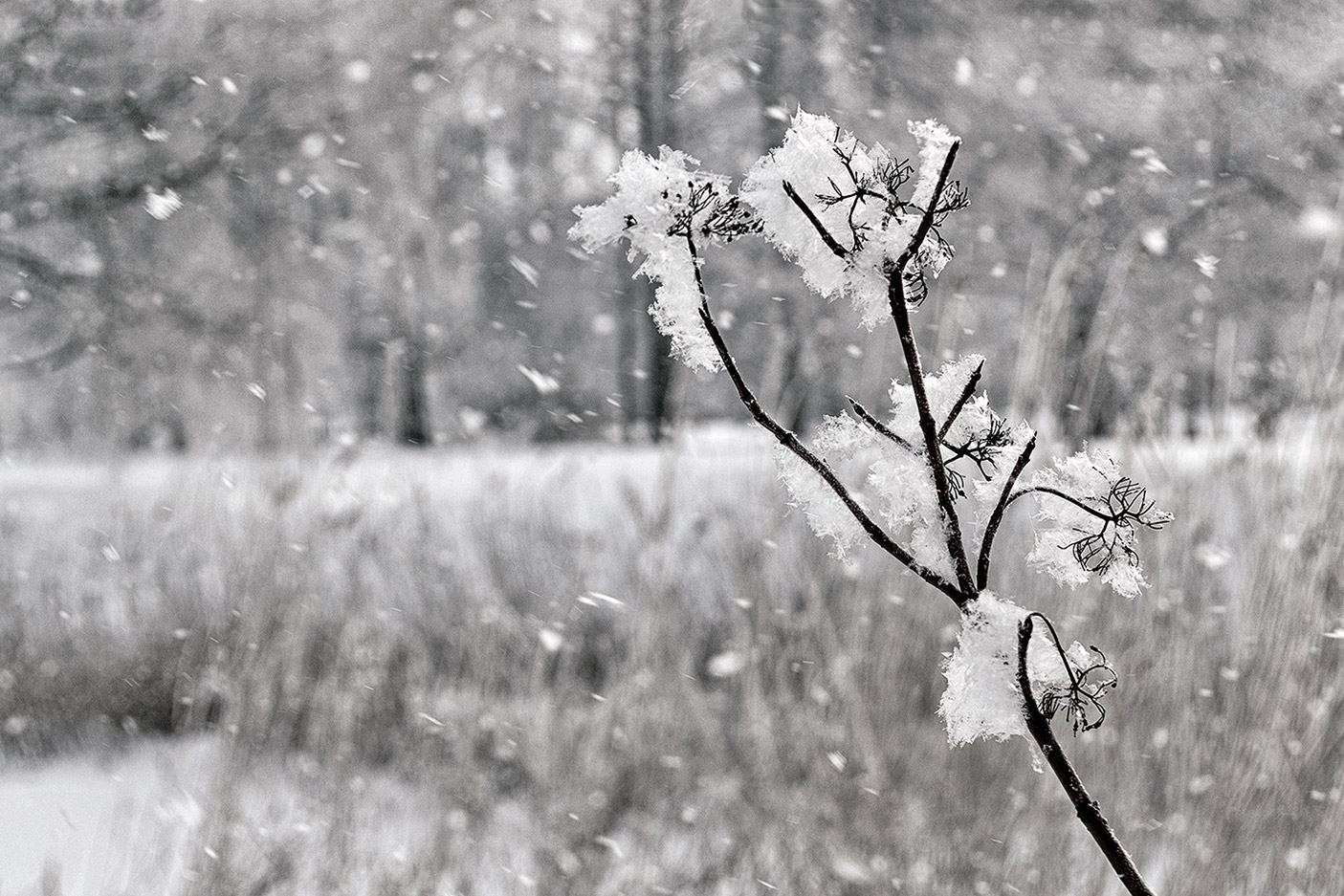 ������: ���� ����