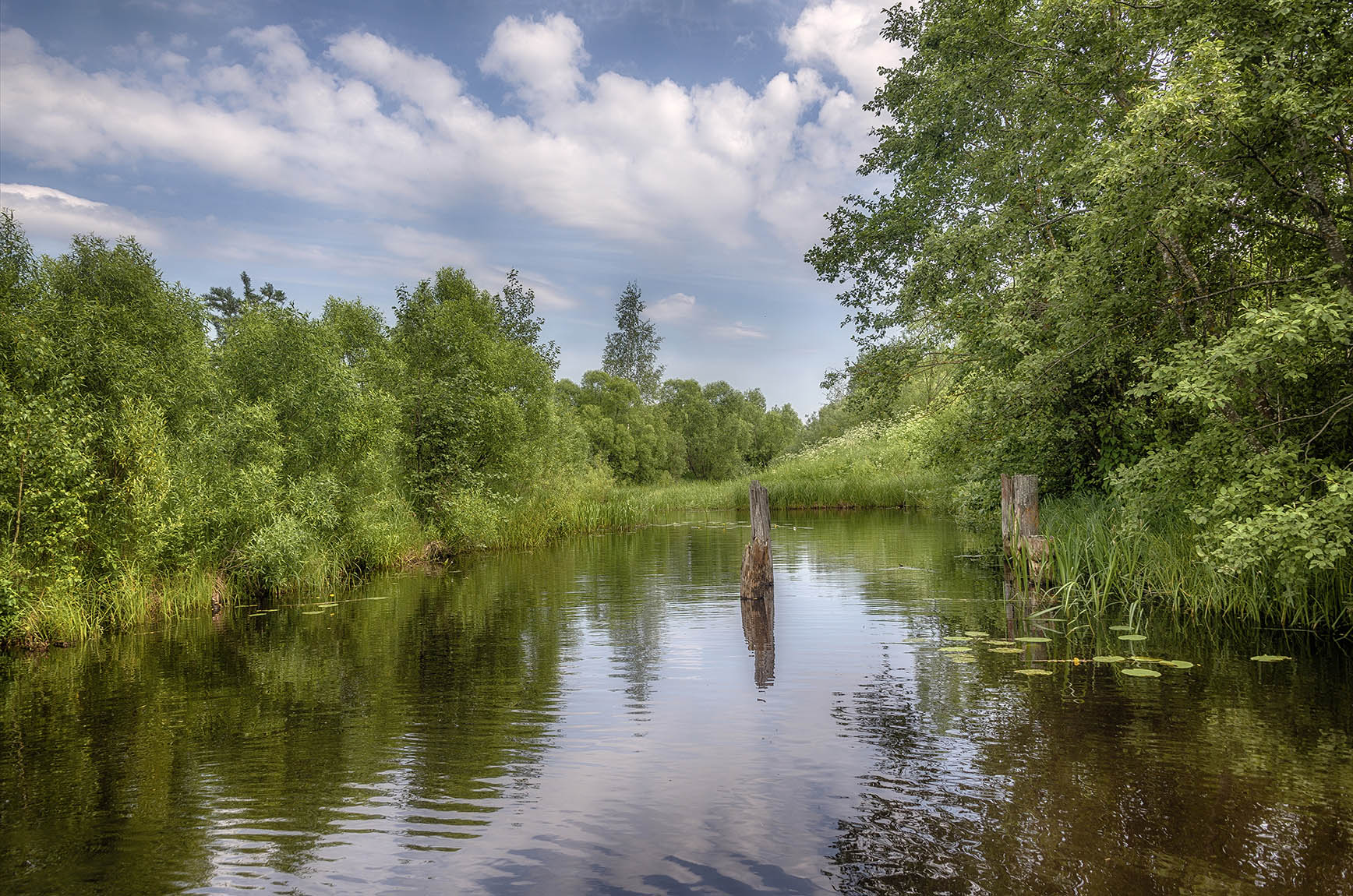 ������: ***