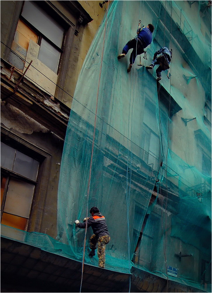 ����: ���������