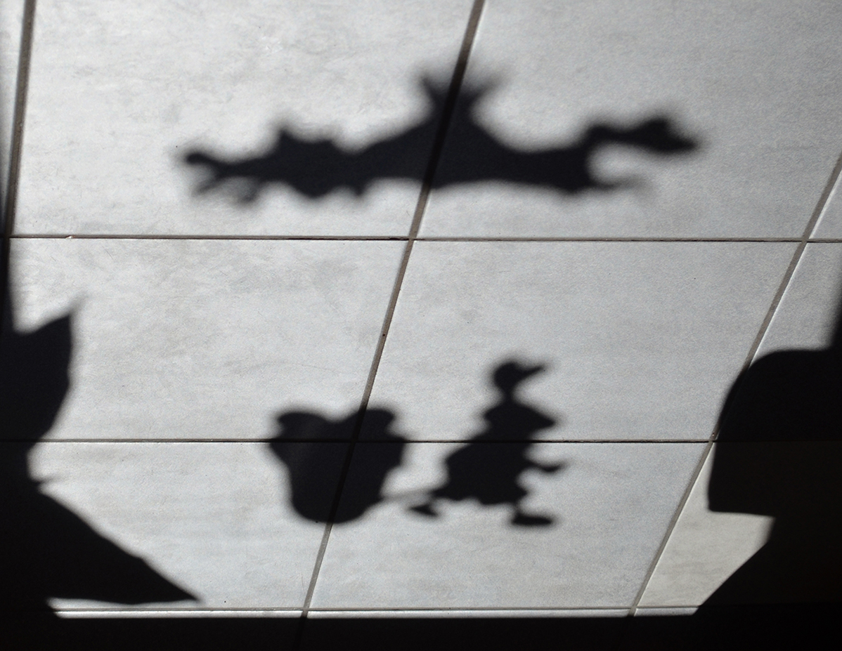 ������: ���� � �������� ��� ����� �������