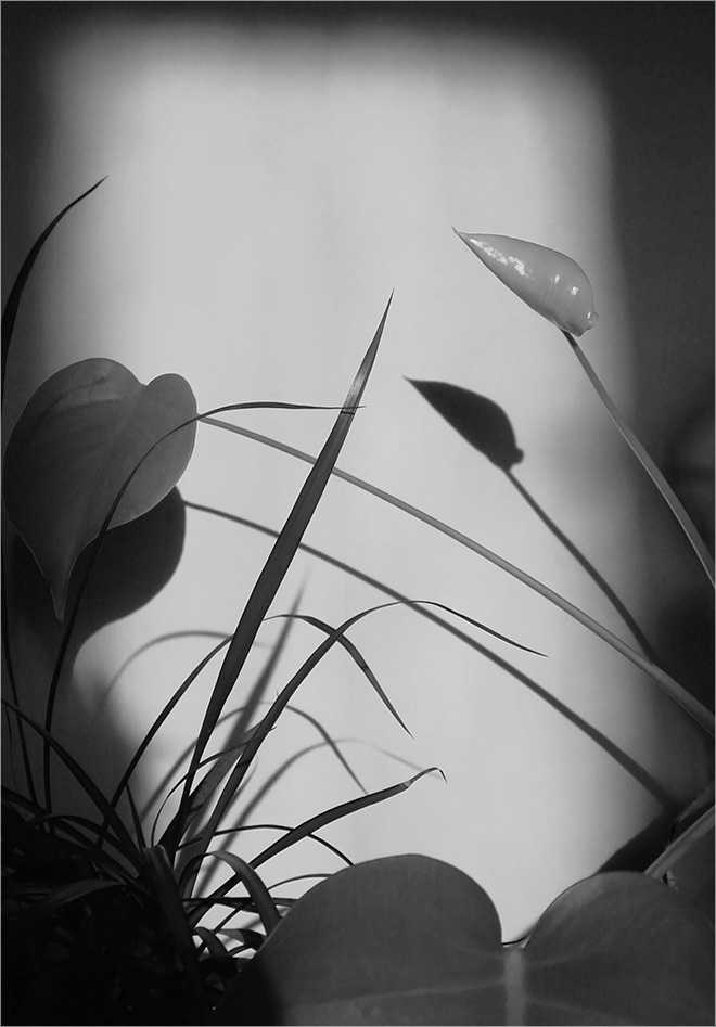 �����: �� ��������..