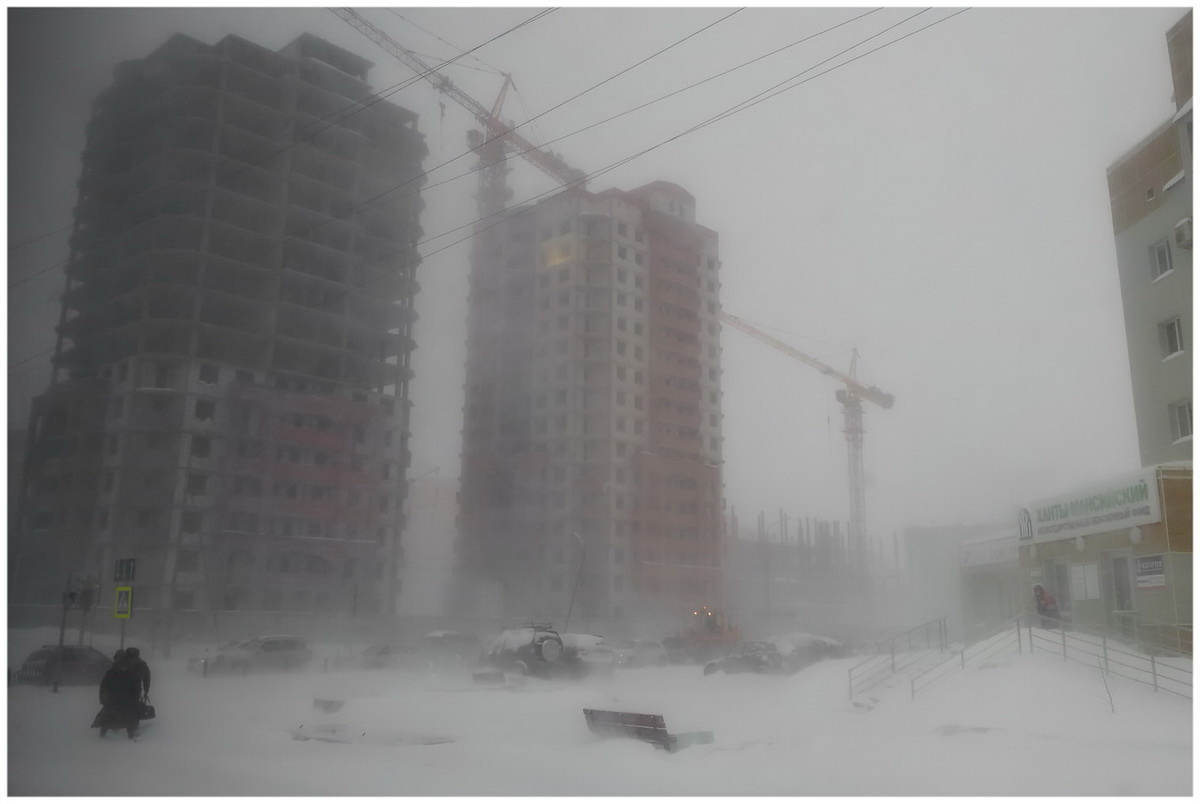 ������: ����