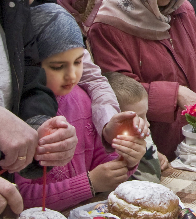 ����: ������