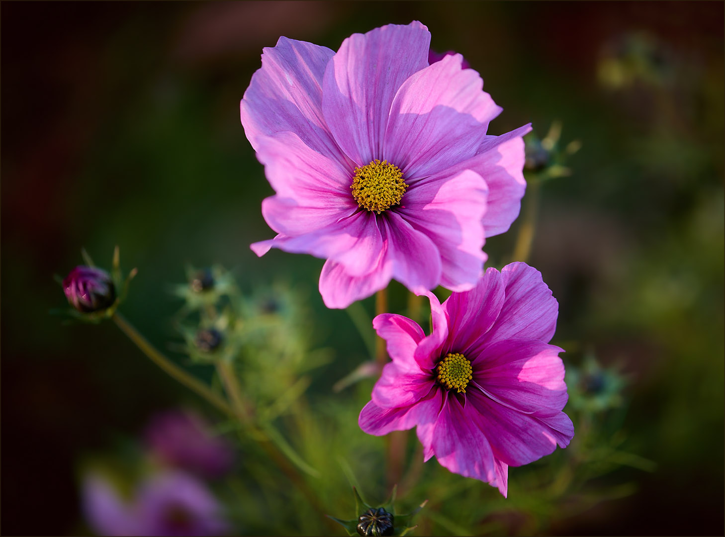 �����: ������� �������� � ��������