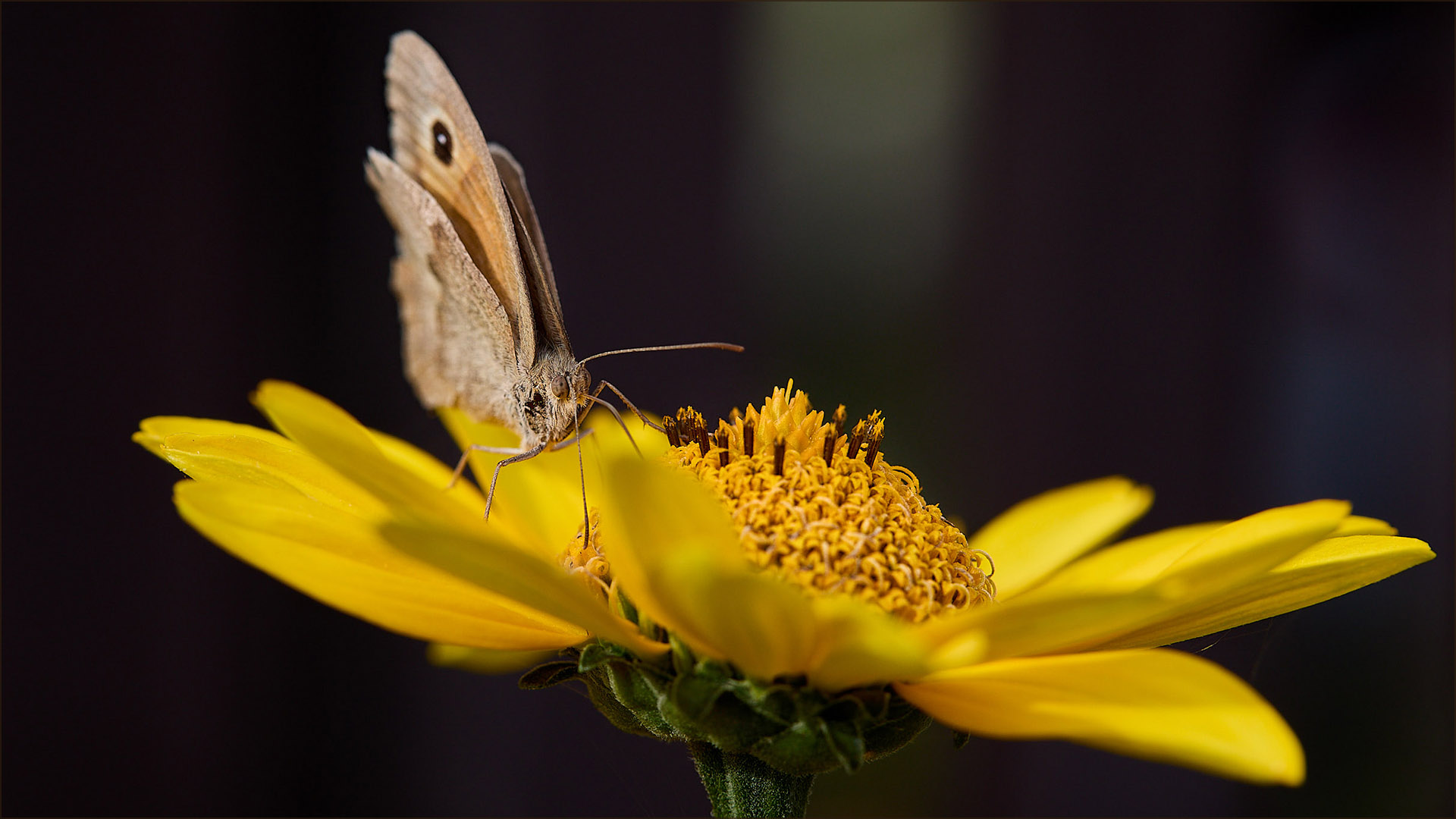 �����/����: ���������� �������