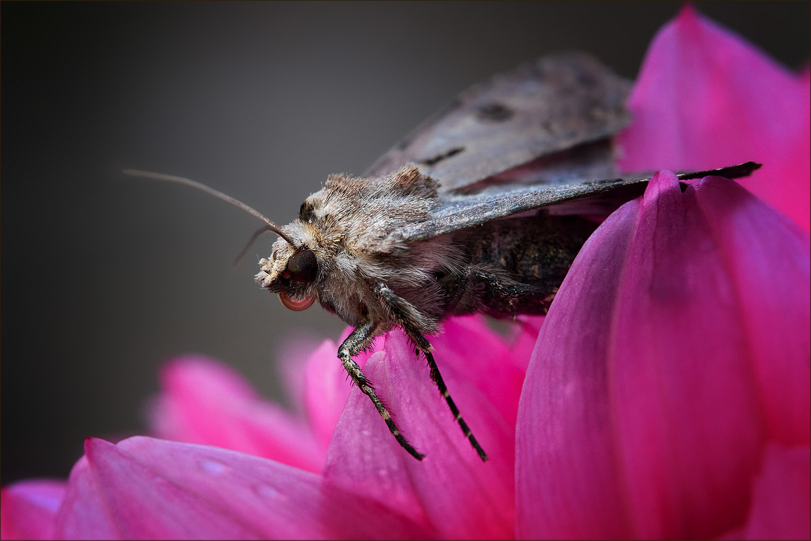 �����/����: ������ �������