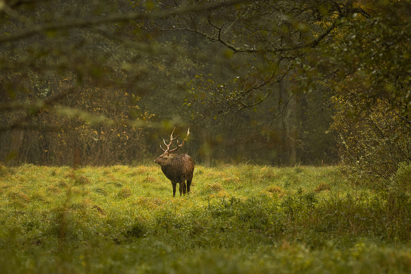 �����: ������