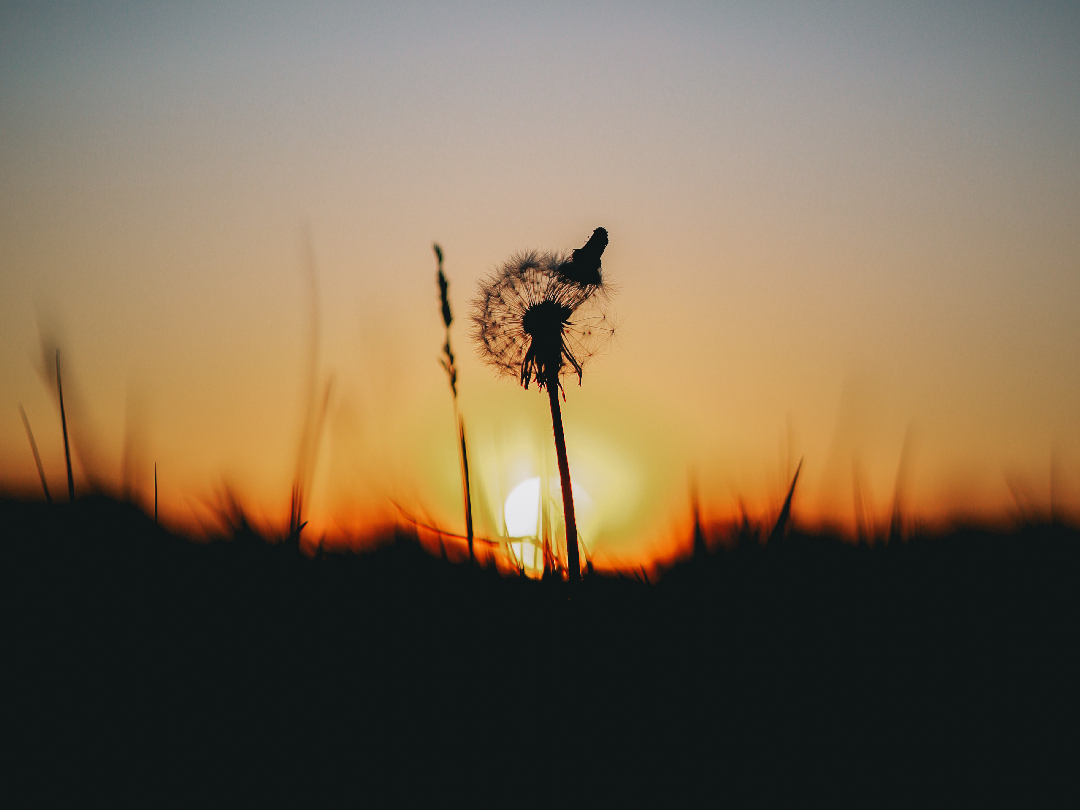 �����/����: �����