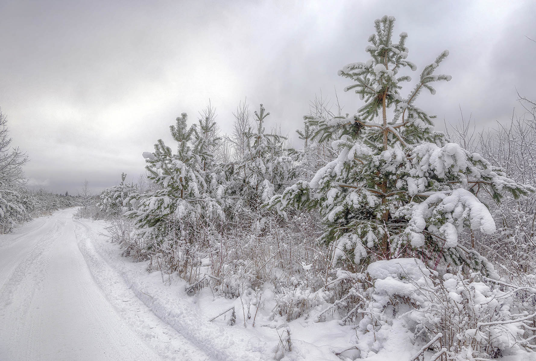 ������: ***