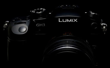     Panasonic GH3   LumixG X 35-100mm f/2.8