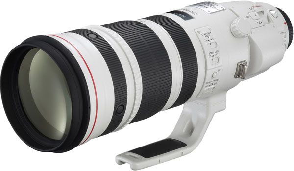   Canon EF 200-400mm f/4L IS USM Extender 1.4x  29    11800 