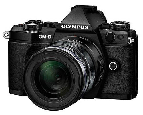  ,      Olympus OM-D E-M5 II,  1/16000 