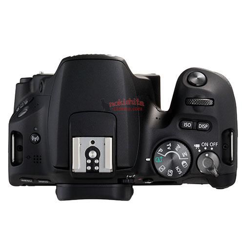       Canon EOS 200D