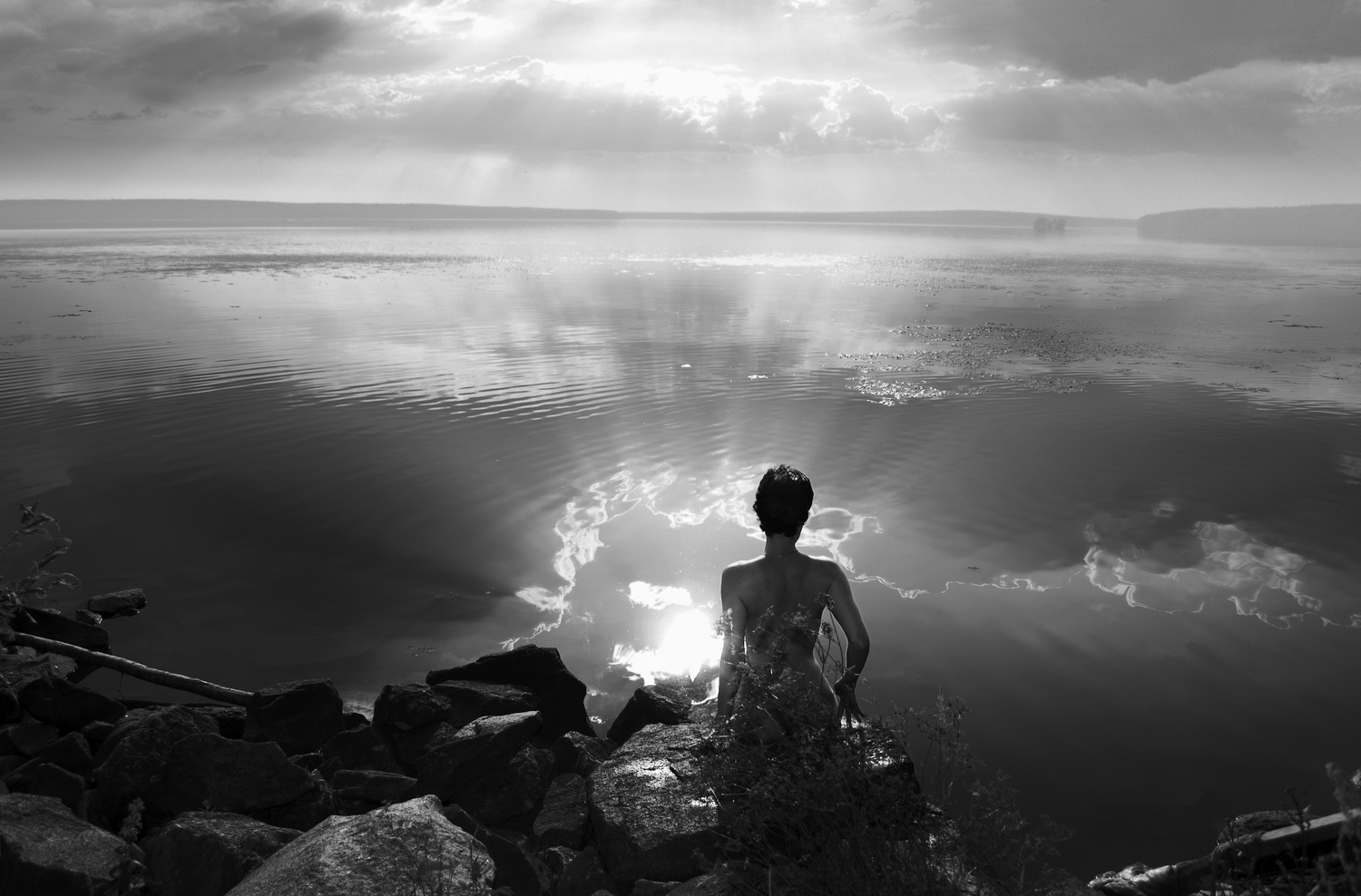 ����: ������